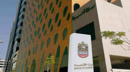 The UAE issues 6,538 new economic licenses in November