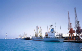 Cargo handling in Saudi ports rose 11% in February