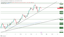 GOLD - 29 يناير 2025