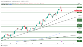GOLD - 11 فبراير 2025