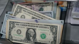 Dollar steady amid anticipation of US data