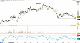 FIPCO Stock 2180 - May 16