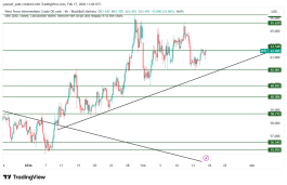 OIL - February 17, 2026