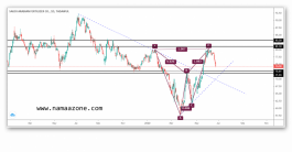 SAFCO Saudi shares and rise opportunities