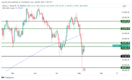 BTC - August 8, 2024