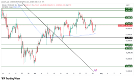 BTC - 29 يوليو 2026