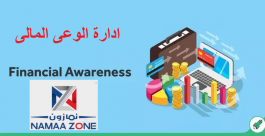 Financial awareness management