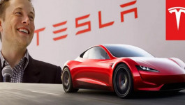 "Tesla" and "Mask"... Gradual escape or strategic deception?