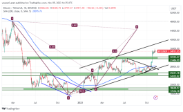 BTC - November 5, 2023