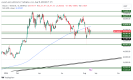 BTC - August 19, 2024
