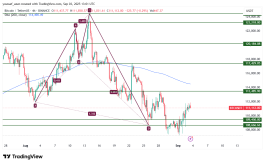 BTC - 3 سبتمبر 2025