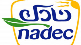 تحول "نادك" للربحية في الربع الثالث