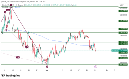 BTC - 25 سبتمبر 2025
