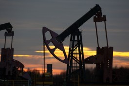 Oil prices fell amid signs that Iran would participate in talks with Pakistan.
