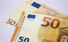 The euro rose to its highest level in 9 months