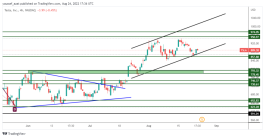 TSLA - August 24, 2022