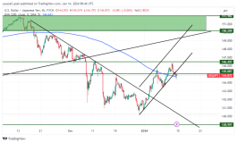 USDJPY - January 14, 2024