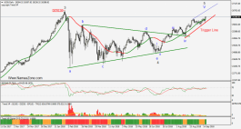 Steam boarding for US markets