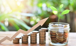 كيفية البحث عن الأسهم واختيار الاستثمارات الجيدة