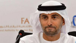 UAE denies reducing electricity delivery fees to citizens at present