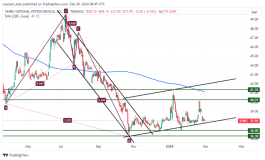 Arrow Flows - February 29, 2024