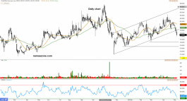 Skill Arrow 1831 - 16 May