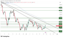 GOLD - 21 يوليو 2026