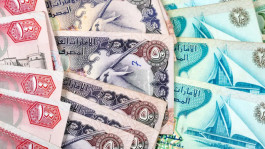 79.6 billion dirhams of foreign workers remittances in the UAE in the first half