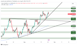 GOLD - August 26, 2024