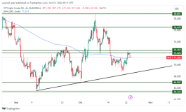 OIL - October 23, 2024