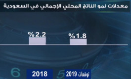 Expectations of a decline in the pace of growth of the Saudi economy in 2019