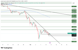 BTC - February 12, 2026