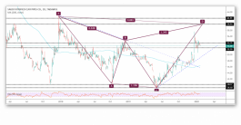fokhar to continue uptrend