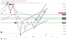EURJPY - January 23, 2024