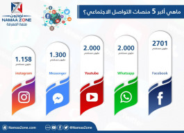 Infographic: The top five social media platforms