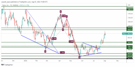 TSLA - August 3, 2022