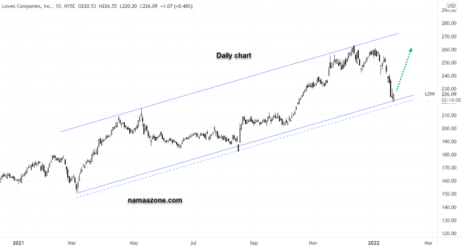 Luz Arrow - January 24