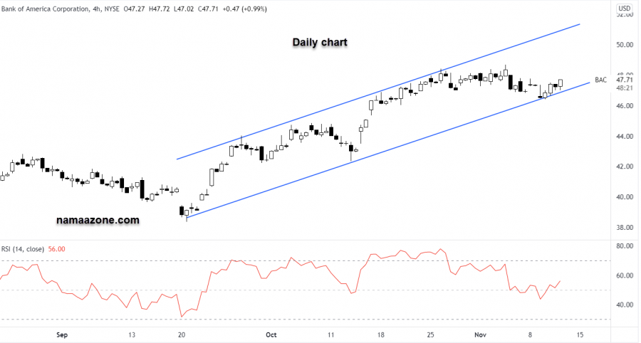 Bank of America - November 11