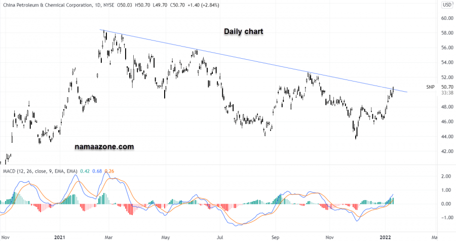 Sinopec stock - January 11