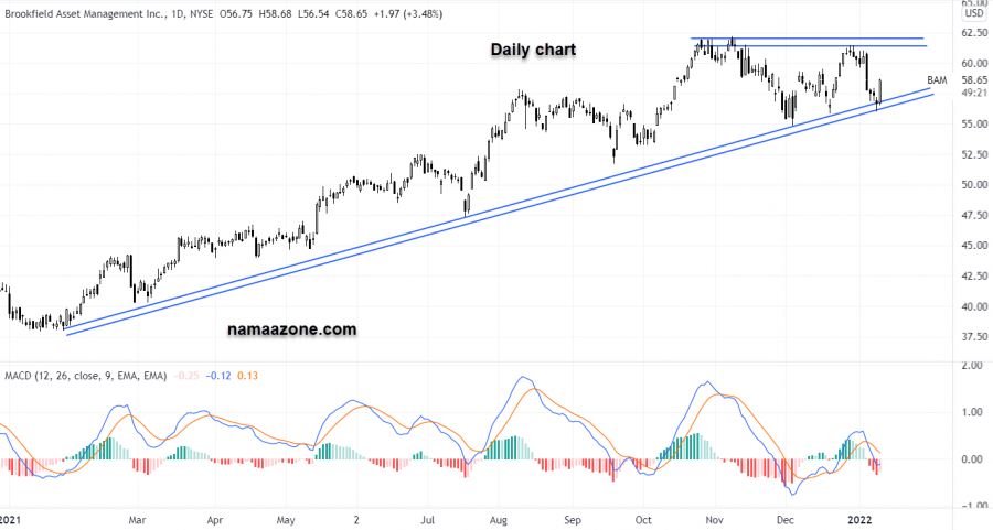 Brookfield Asset Management - January 11
