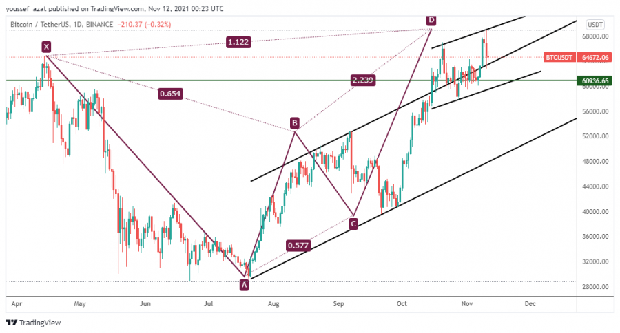 البيتكوين - 11 نوفمبر 2021