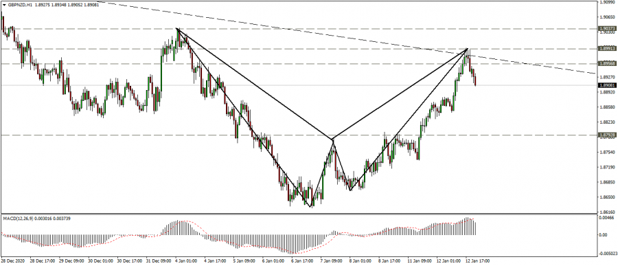 نظرة فنية على الباوند نيوزيلاندي