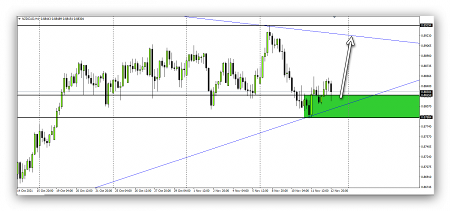 النيوزيلاندي كندي - 15 نوفمبر 2021
